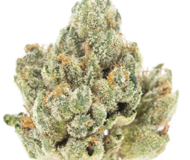 Holy grail og and skywalker