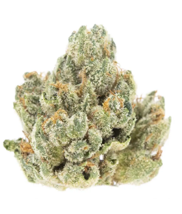 Holy grail og and skywalker