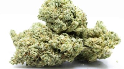 Louis XIII OG