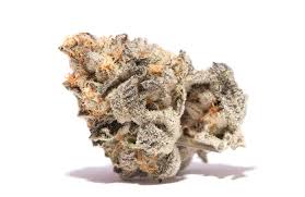 NY Diesel
