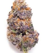 lemon cherry gelato candyland