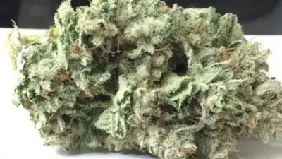 Glue